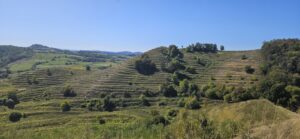 Via Transilvanica Biertan 2025