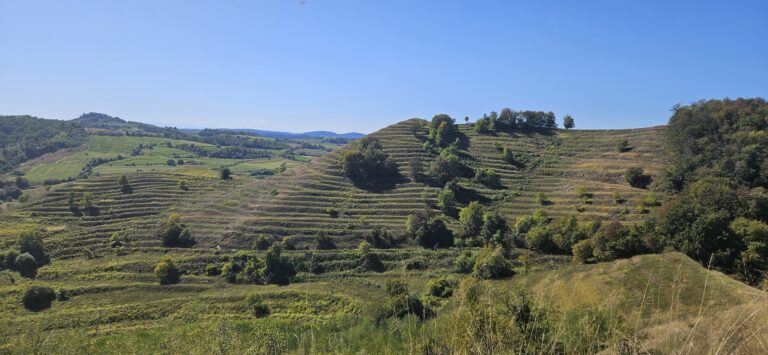 Via Transilvanica Biertan 2025